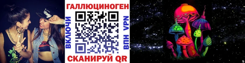 kraken Михайловка Псилоцибиновые грибы Cubensis