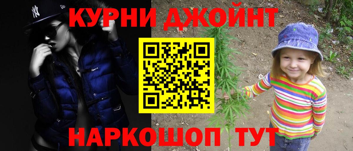 Канабис сатива Михайловка